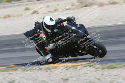 media/Mar-10-2024-SoCal Trackdays (Sun) [[6228d7c590]]/12-Turn 14 Inside (145pm)/